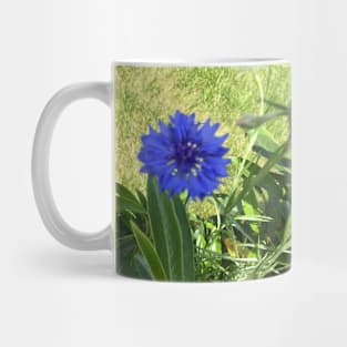 Blue Batchelor Button Mug